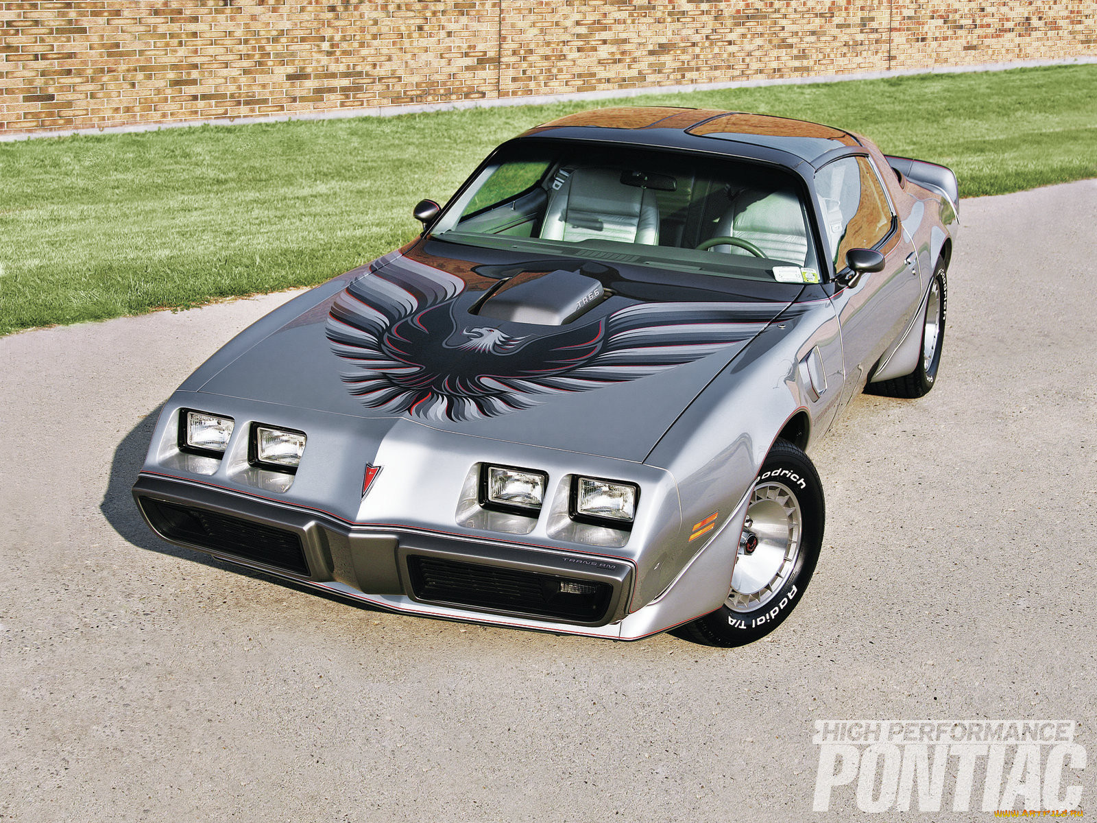 1979, 10th, anniversary, trans, am, , pontiac